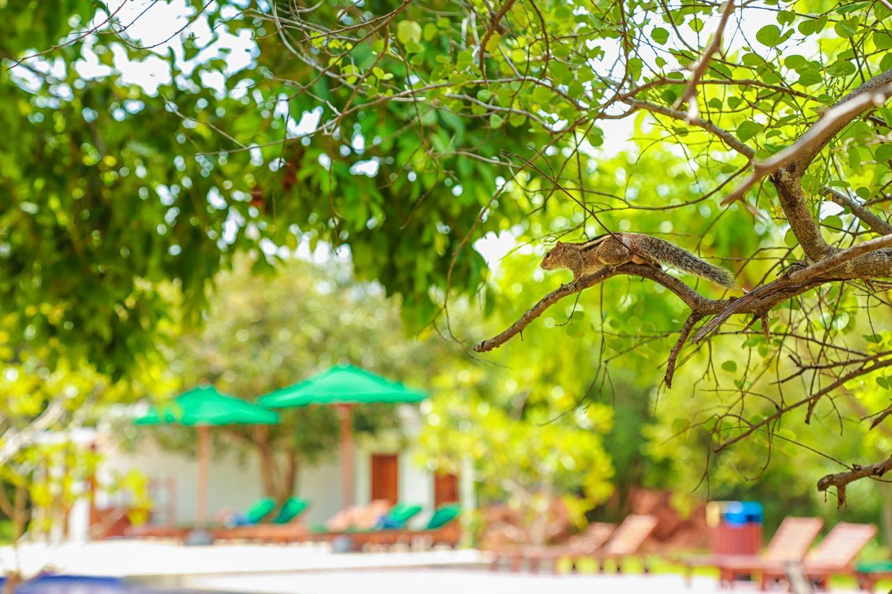 Oak Ray Elephant Lake Sigiriya Luaran gambar