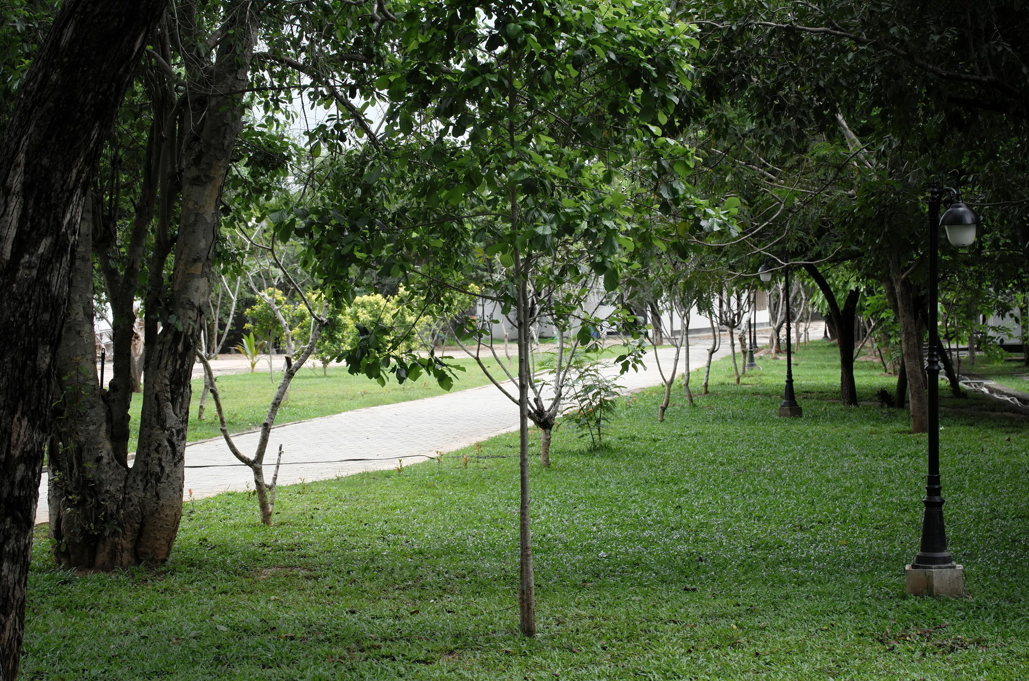 Oak Ray Elephant Lake Sigiriya Luaran gambar